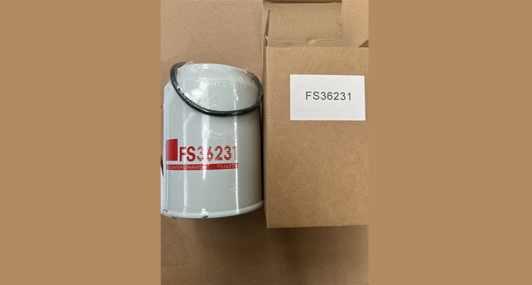 FS36231