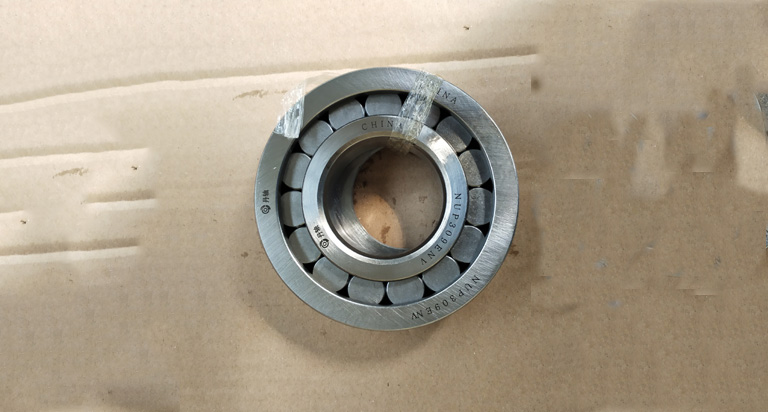 NUP309ENV