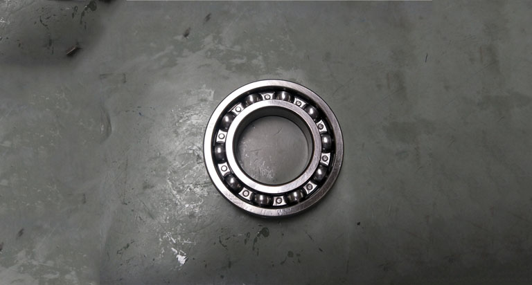 4021000020